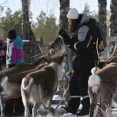 Tokka By Tokka Safaris * レヴィ
