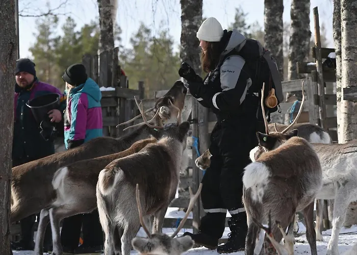 Tokka By Tokka Safaris * 레비